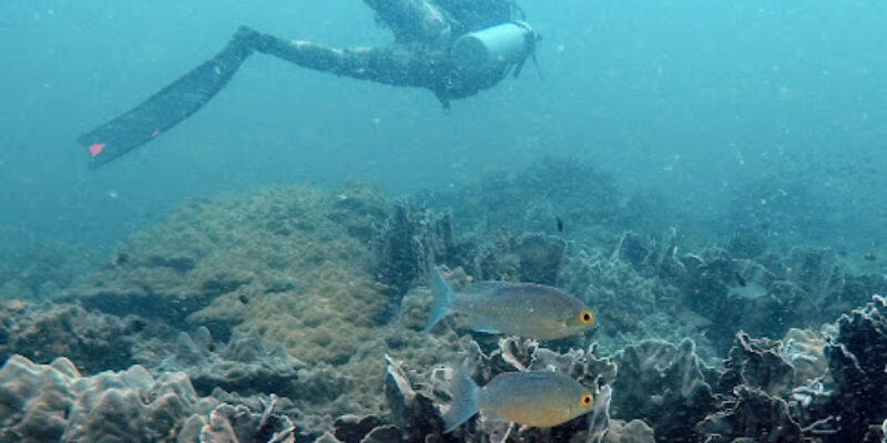 Tales Dive Center
