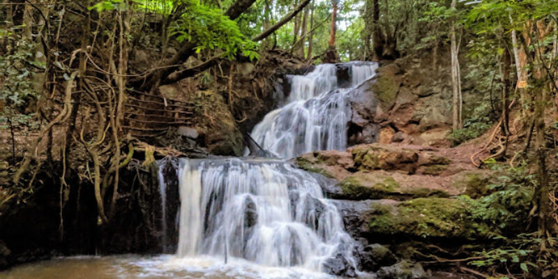 Sigiria – Karura Forest