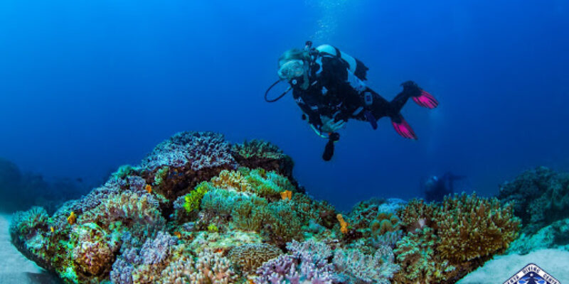 Diving the Crab by Blue Wave Ltd.