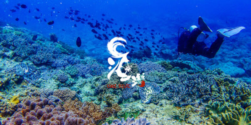 UMI DIVE OKINAWA