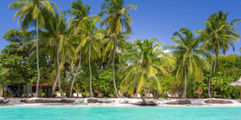 diveOceanus Paradise Island
