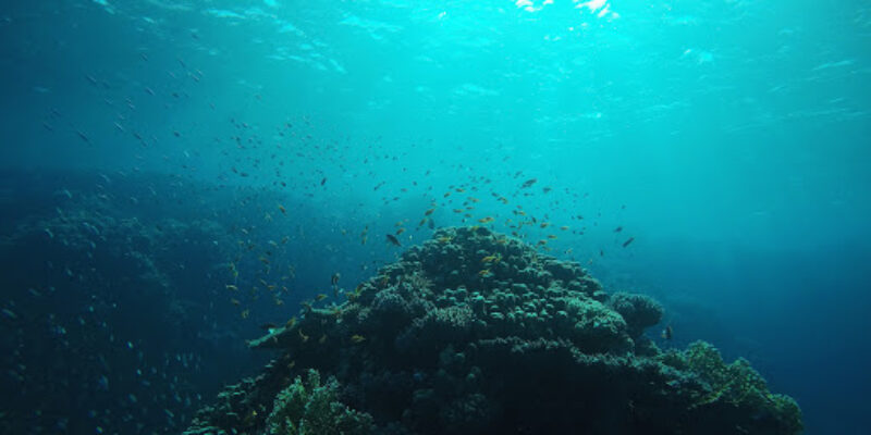Colona Dive Center – Hurghada