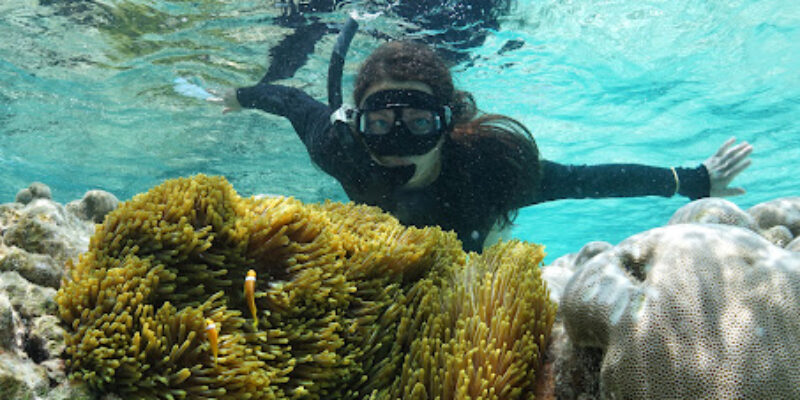 Sub Oceanic Dive Club