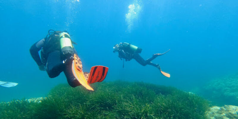 Scuba Murcia