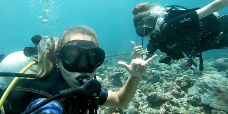 Manta Divers