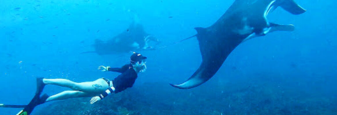 Ceningan Snorkeling Trip