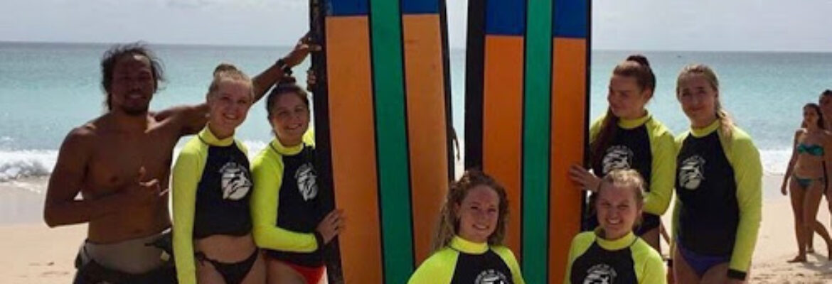 Dreamland surf school