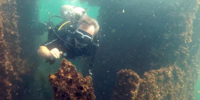 Scuba Evolution India
