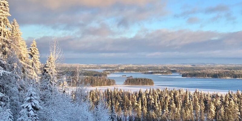 Pääskyvuori