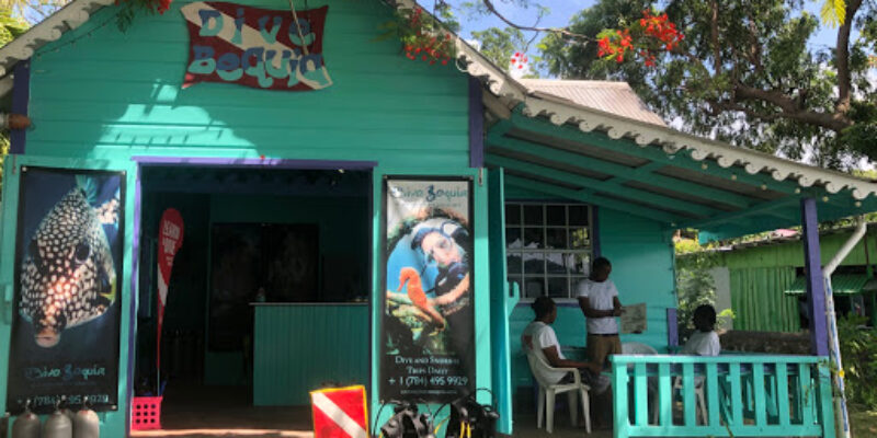 Dive Bequia