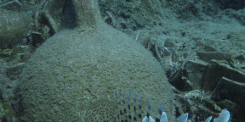Marmaris Diving Center