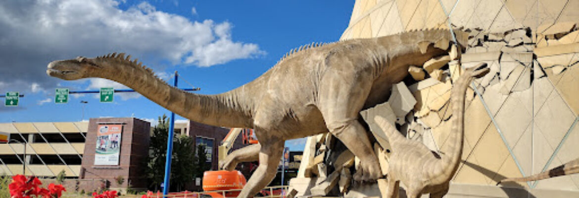 The Children’s Museum of Indianapolis