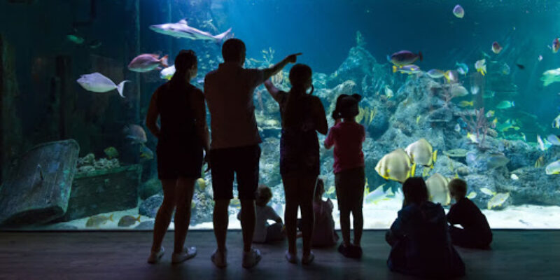 Skegness Aquarium