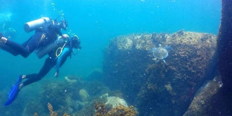 Hy Brazil Diver’s Club