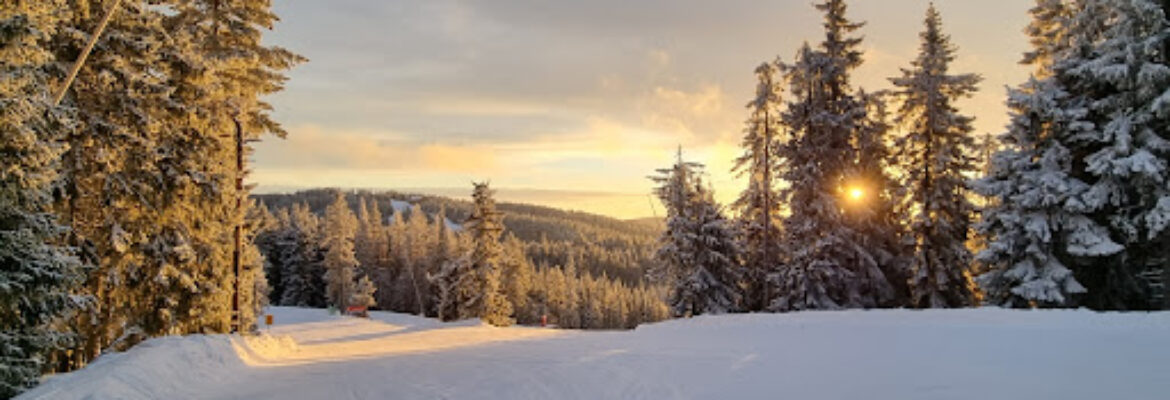Romme Alpin