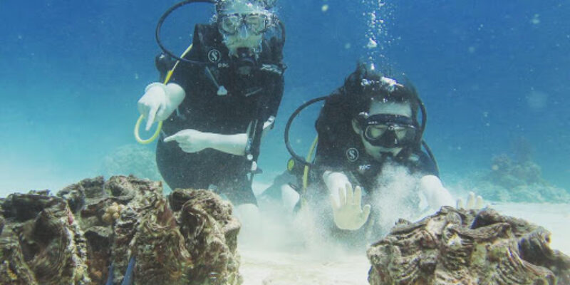 Racha Dive Center