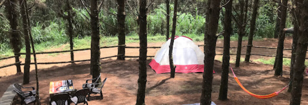 PAE Parque Aventura Escobero