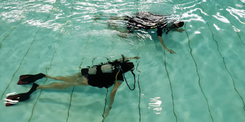 Discovery Divers