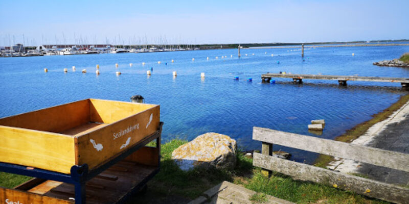 Sealand Diving