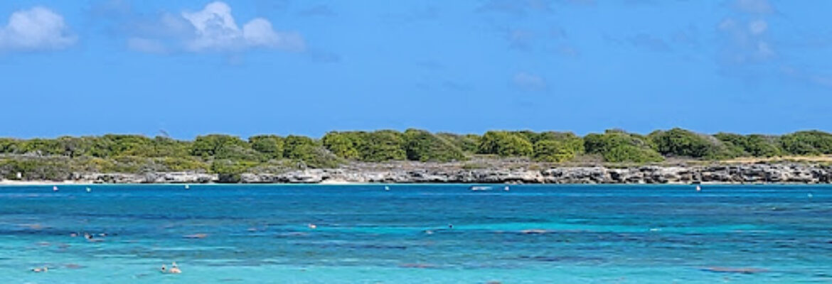 Paradoxe Croisières