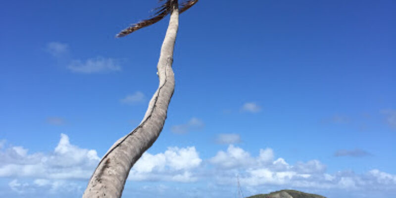 Peter Island Divers