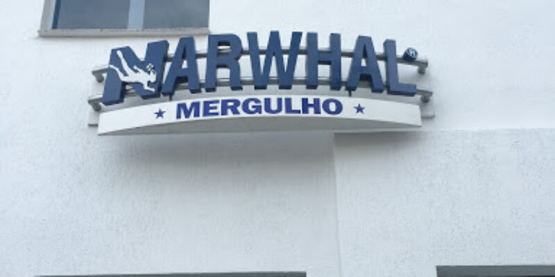 Narwhal Perdizes