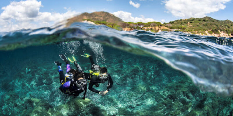 Diving Big Blue S.L.