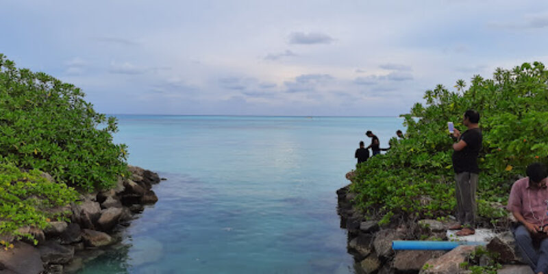Serene Ocean