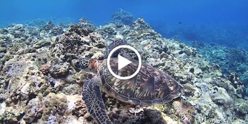 KA’LAK DIVING SCHOOL