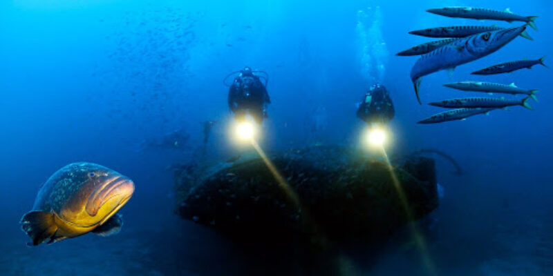 Aventure Bleue