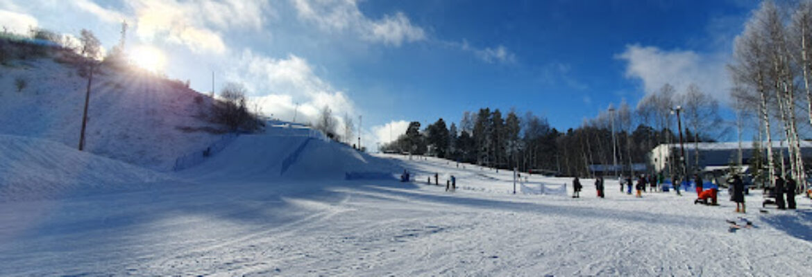 Vedbobacken skidor