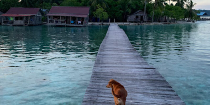 Barefoot Conservation