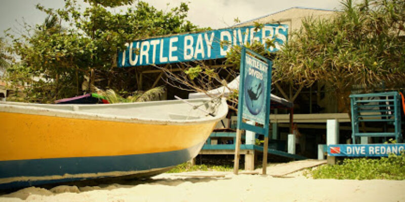 Turtle Bay Divers