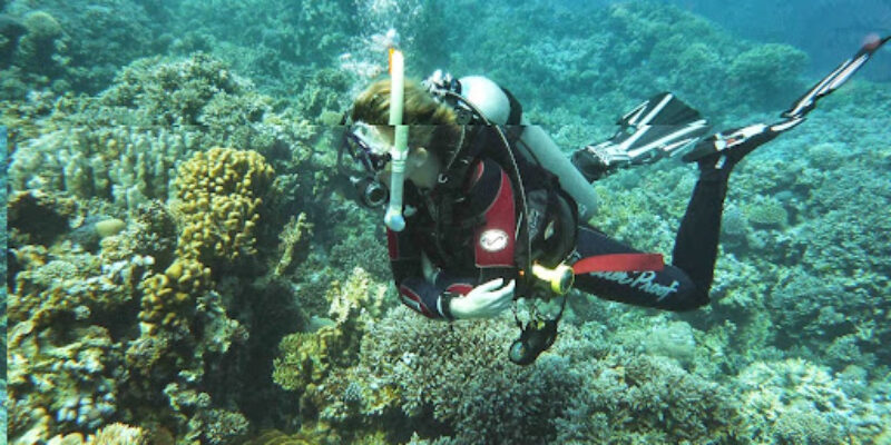 Seastyle-Elwyn Harper Diving Equipment