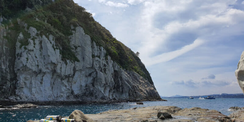 Dive Holic
