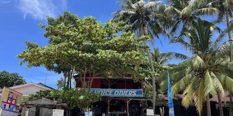 Sea Voice Divers