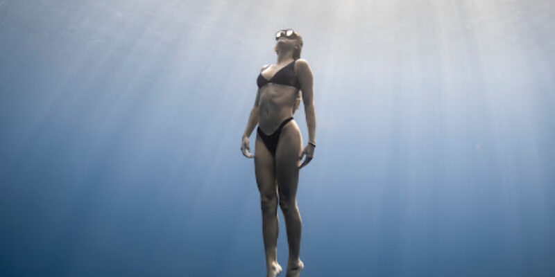 Ambassador Divers