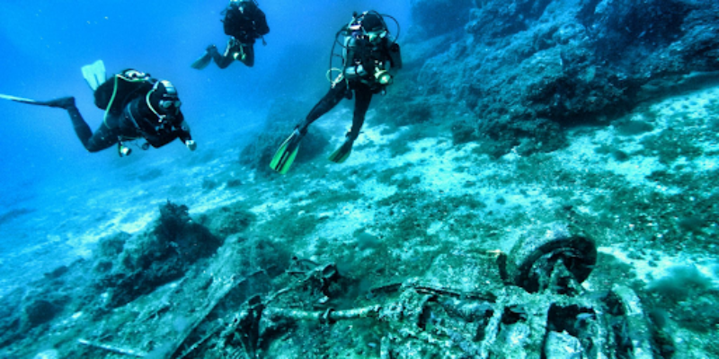 Anthias Diving