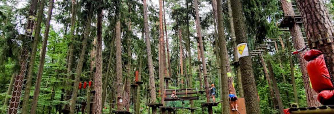 Forest Rope Park