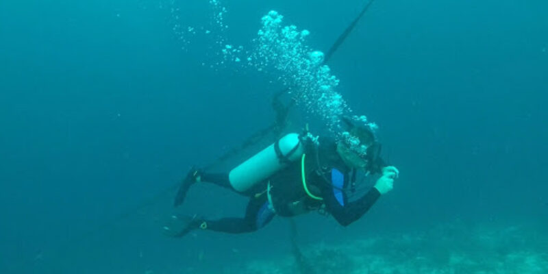 Cebu Dive Centre