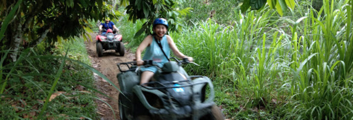 Bali Taro Adventure