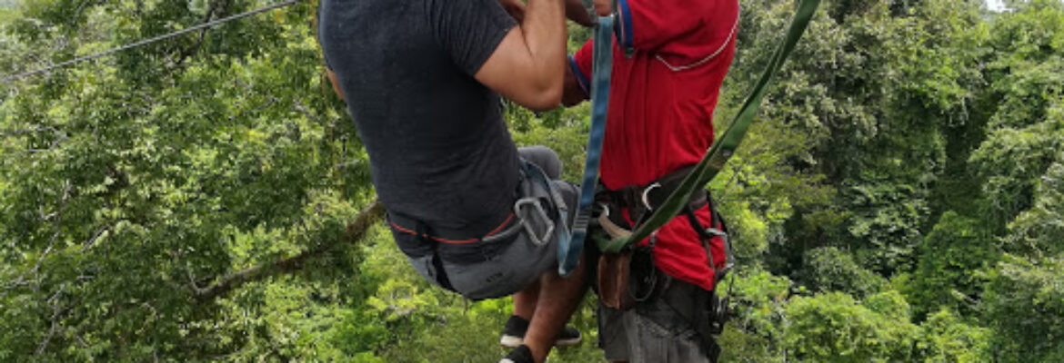 Osa Palmas Canopy Tours
