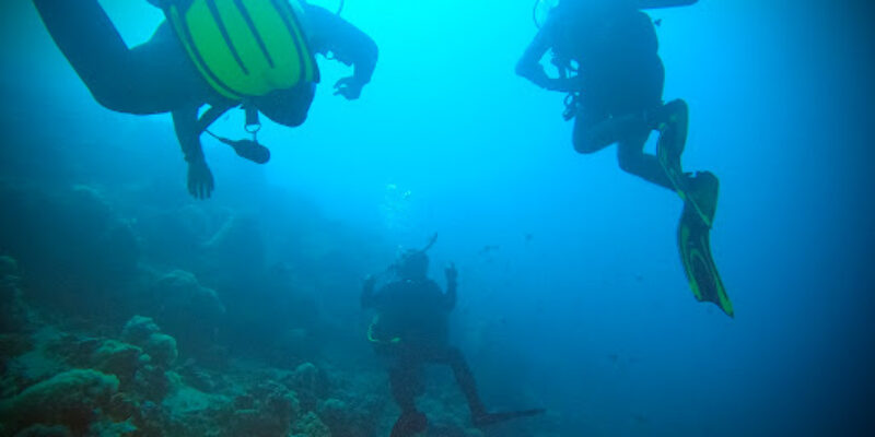 Natlus Divers