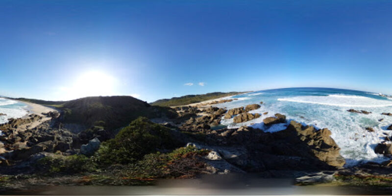 SWIMMY TANEGASHIMA