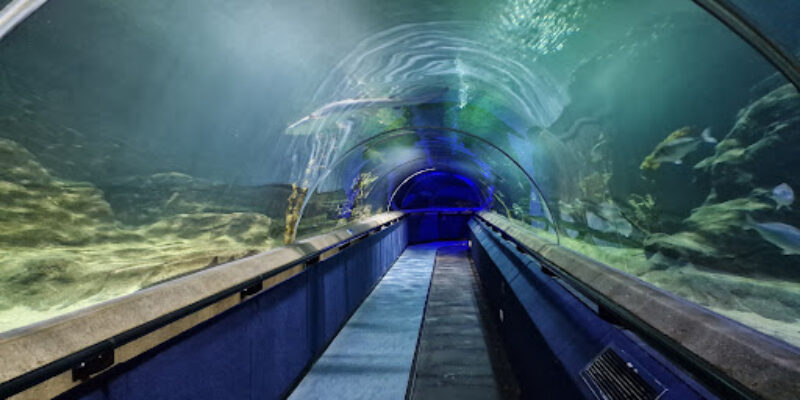 Deep Sea World Aquarium