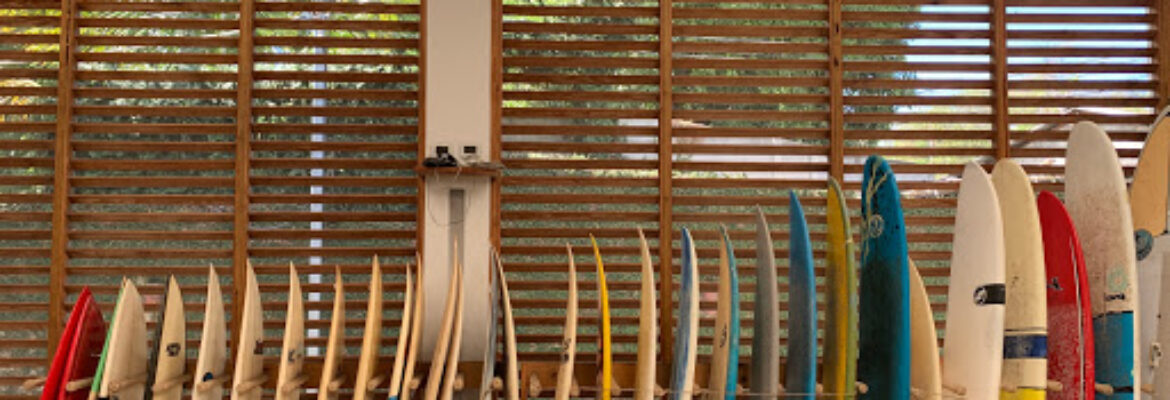 Sunzal Surf Company