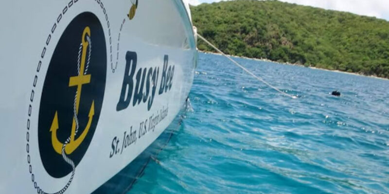 Busy Bee Charters