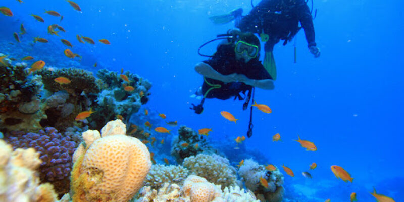 Scorpion Dive Club