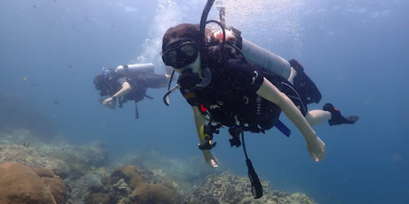 Profun Divers Academy