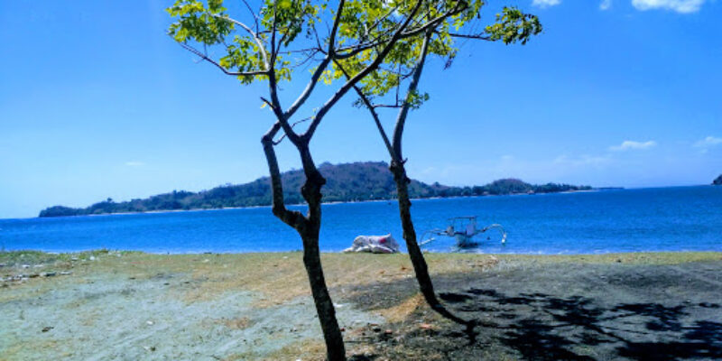 DiveZone South Lombok